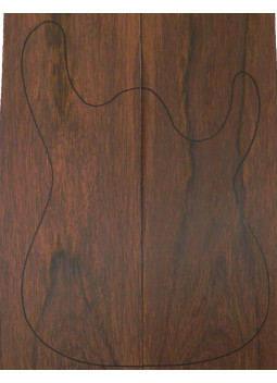 Carved Top Madagaskar-Palisander E-Gitarre | Maderas Barber