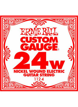 Corde Enroulée Ernie Ball Guitare Électrique 022