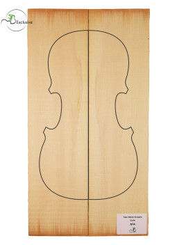 Tavola abete europeo Violín MB Exclusive n.4 | Maderas Barber