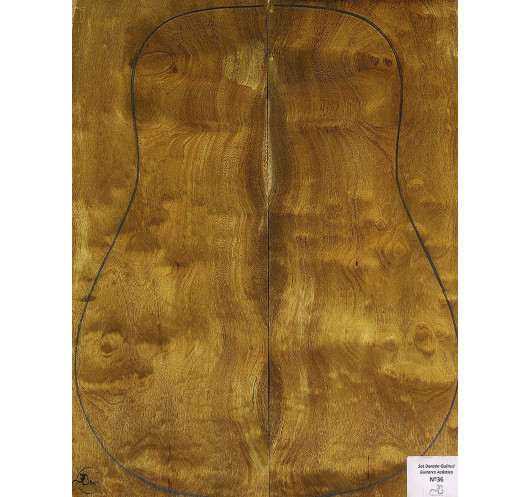Set Dorado Quilted chitarra acustica MB Exclusive n.36 Comprar
