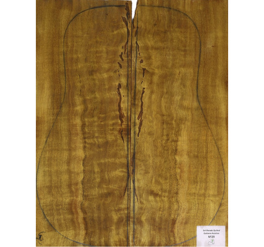 Set Dorado Quilted chitarra acustica MB Exclusive n.29 Comprar