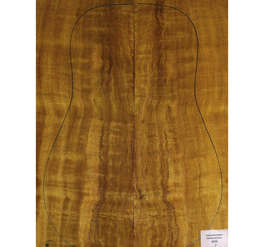 Set Dorado Quilted chitarra acustica MB Exclusive n.24 Comprar
