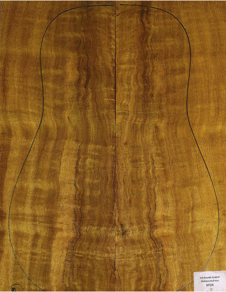 Set Dorado Quilted chitarra acustica MB Exclusive n.24 Comprar