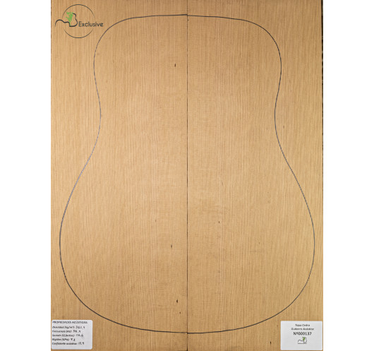 Tavola cedro rosso n. 000137 chitarra acustica MB Exclusive | Maderas Barber