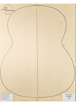 European Spruce Classical Guitar Top MB Exclusive Nº 000067