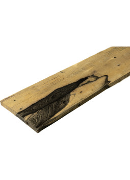 A Pale Moon Ebony Fingerboard 6 String Electric Bass