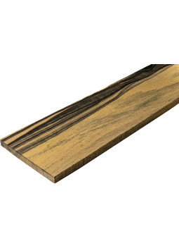 A Pale Moon Ebony Fingerboard Electric Guitar