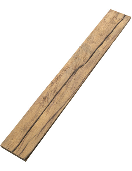 A Pale Moon Ebony Fingerboard Electric Guitar | Maderas Barber