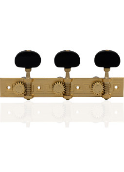 Mécanique Aparicio Guitare Classique Modèle Córdoba Or Mat 24K/Ébène