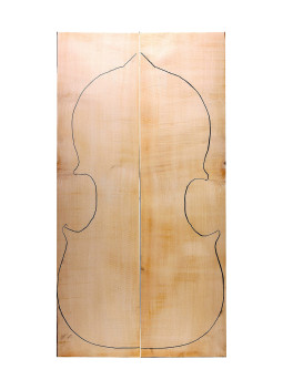 Fondos Chelo Arce Rizado 1ª