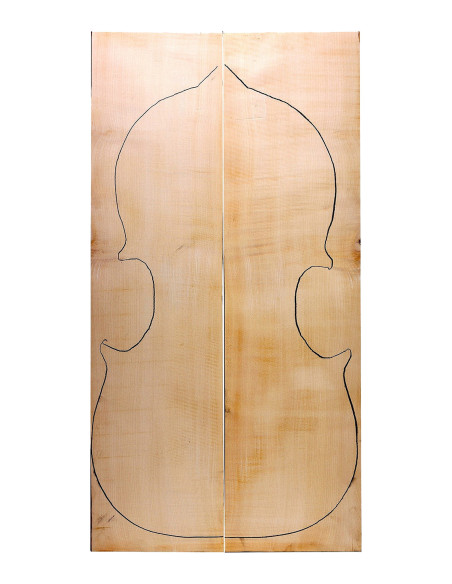 AA Curly Maple Cello Backs | Maderas Barber