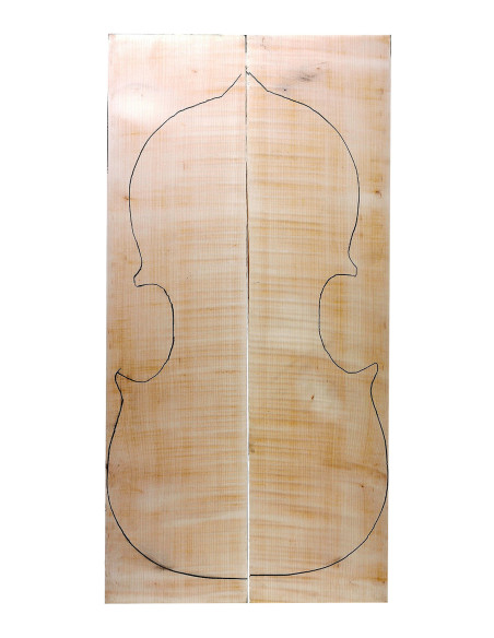 AAA Curly Maple Cello Backs | Maderas Barber