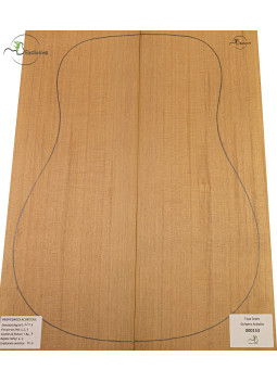 Decke Western Red Cedar Nr. 000153 Akustikgitarre MB Exclusive | Maderas Barber