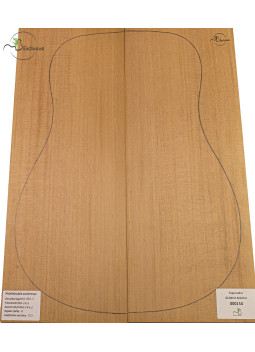 Decke Western Red Cedar Nr. 000154 Akustikgitarre MB Exclusive | Maderas Barber