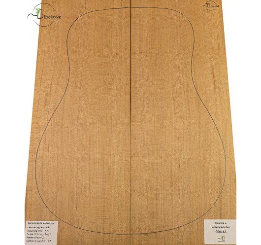 Red Cedar Acoustic Guitar Top MB Exclusive Nº 000163