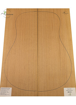 Red Cedar Acoustic Guitar Top MB Exclusive Nº 000164