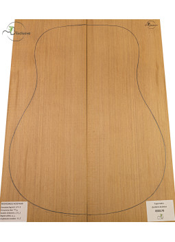 Tapa Cedro Rojo Nº 000170 Guitarra Acústica MB Exclusive | Maderas Barber