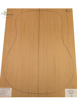 Tavola cedro rosso n. 000175 chitarra acustica MB Exclusive | Maderas Barber
