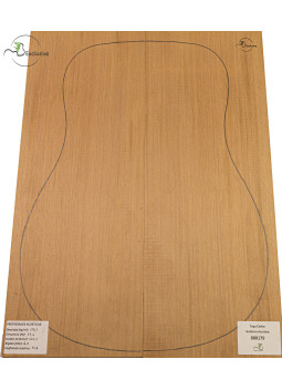 Tavola cedro rosso n. 000179 chitarra acustica MB Exclusive | Maderas Barber