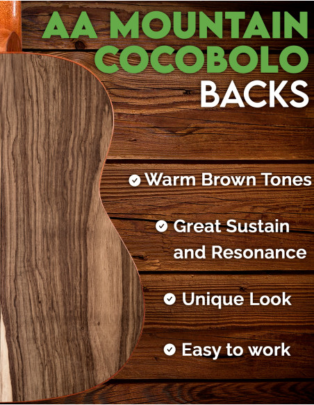 Böden Cocobolo de Montaña AA Akustikgitarre | Maderas Barber