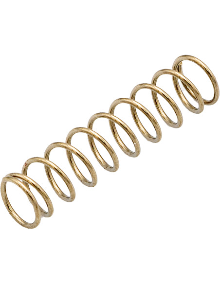 Muelle para Pastillas 21mm