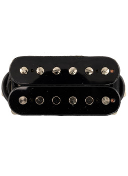 Micros Seymour Duncan APH-1N Alnico II Pro