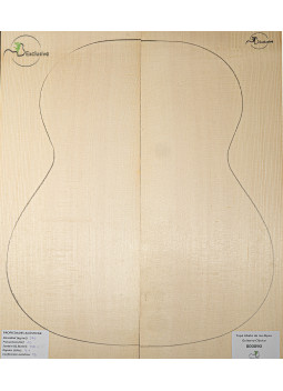 Alpine Spruce Classical Guitar Top MB Exclusive Nº 000090