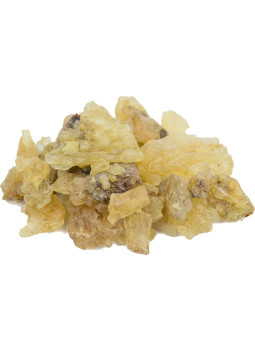 Resina Copal de Manila 100 g | Maderas Barber