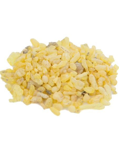 Résine Sandarac 100 g | Maderas Barber