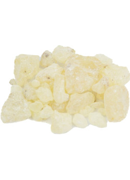 Resina Dammar 100 g | Maderas Barber