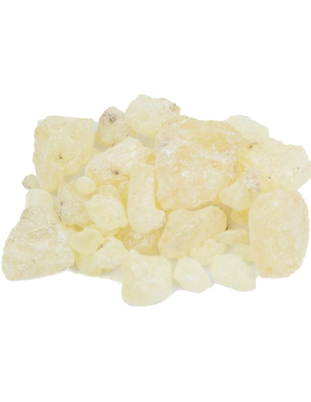 Resina Dammar 100 g | Maderas Barber