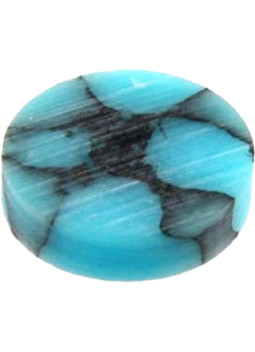 All parts Turquoise Stone Inlay Dots, 12 pcs