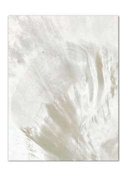 Pieza rectangular Madre Perla 50x40x2 mm