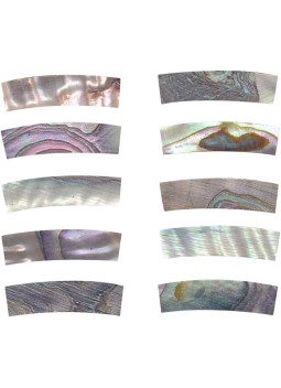 Pieza Abalone para Boca GOTOH DM-RST258 20x5x4,5 mm.