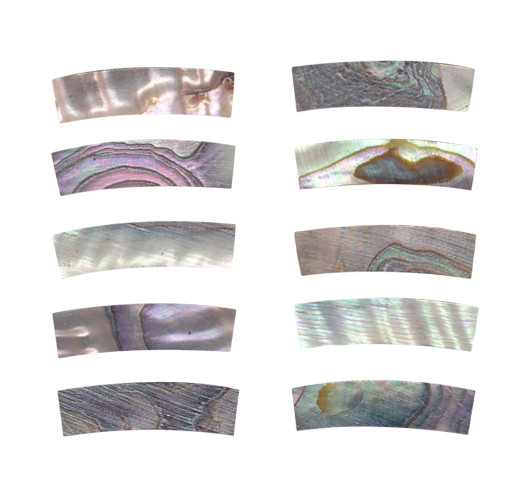 Pieza Abalone para Boca GOTOH DM-RST258 20x5x4,5 mm.