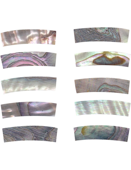 Buy Abalone Rosette Decoration DM-RST258
