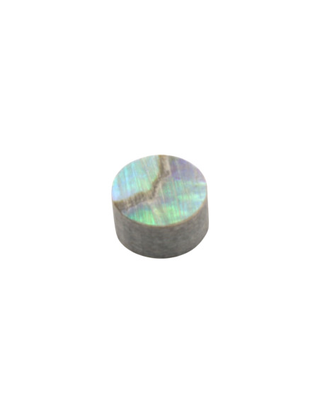 Marcador posición Abalón 4x2.0mm