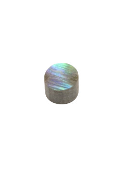 Abalone Marker Position 3x2.0mm