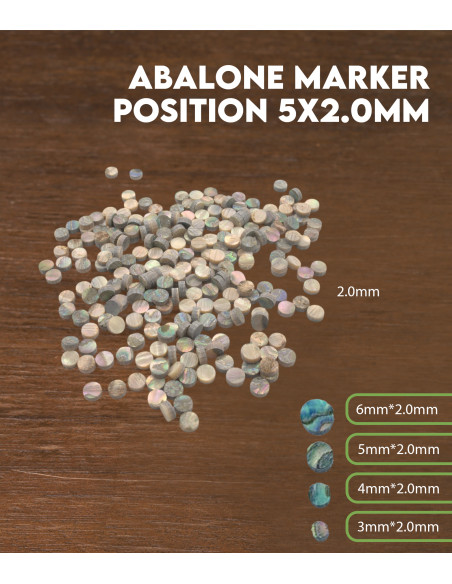 Características Marcador posición Abalón 5x2.0mm