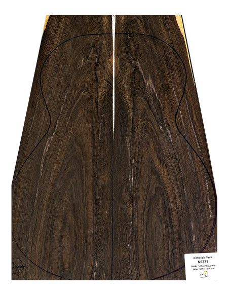 Set Único de Palo Santo de Río Nr. 237 Konzertgitarre MB Exclusive