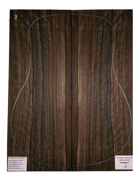 Jeu Malaysian Blackwood MB Exclusive Nº181 Guitare Acoustique|Maderas Barber