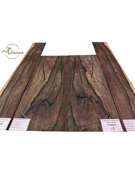 Set Malaysian Blackwood Konzertgitarre MB Exclusive Nr.175| Maderas Barber