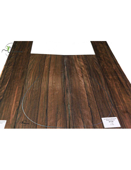 Comprar Set Malaysian Blackwood Akustikgitarre MB Exclusive Nr.139