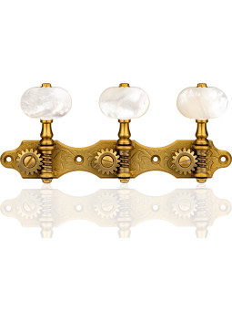 Clavijero Gotoh Guitarra Clásica MTG 35AR510QC/M-MTG