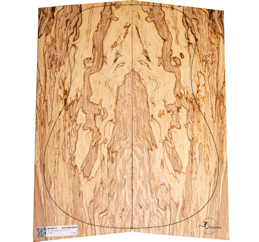 Jeu Hêtre Spalted Nº2 Guitare Acoustique MB Exclusive