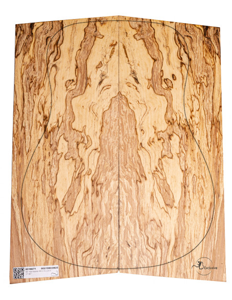 Jeu Hêtre Spalted Nº2 Guitare Acoustique MB Exclusive