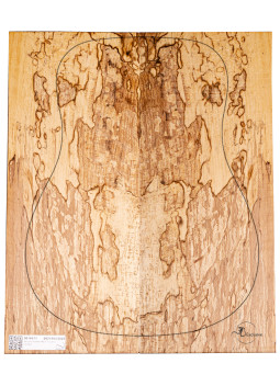 Spalted Beech Set Nº 3 Acoustic Guitar MB Exclusive