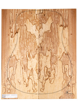 Jeu Hêtre Spalted Nº4 Guitare Acoustique MB Exclusive
