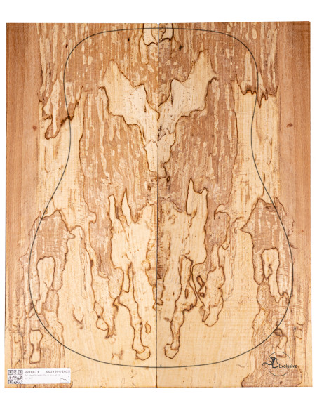 Juego Haya Spalted Guitarra Acústica MB Exclusive Nº4