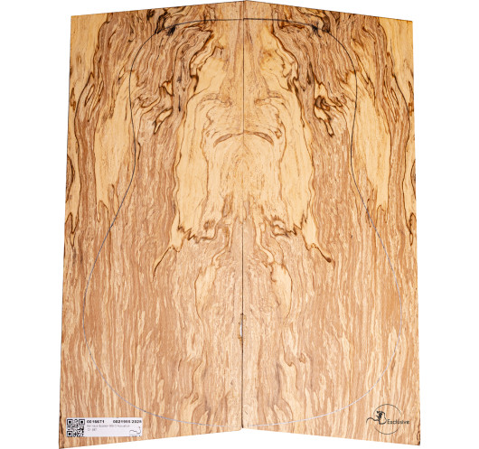Juego Haya Spalted Guitarra Acústica MB Exclusive Nº5
